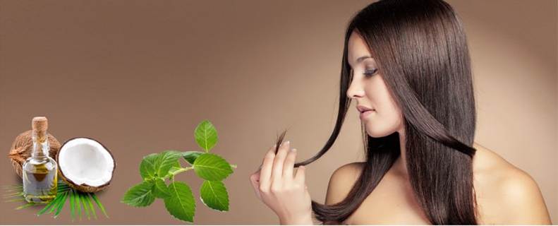 https://www.topbeautymagazines.com/wp-content/uploads/2019/07/coconut-oil-and-tulsi.jpg